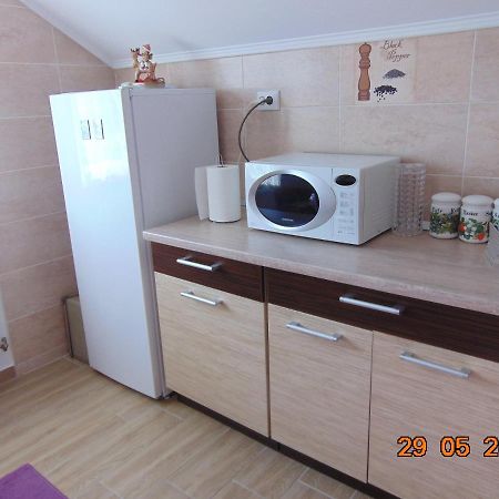 Vila Floarea De Colt Apartment Borsa  Exterior photo