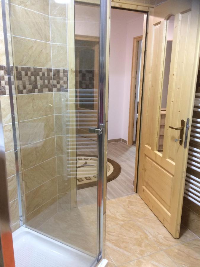 Vila Floarea De Colt Apartment Borsa  Exterior photo