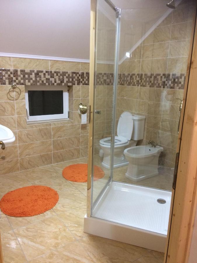 Vila Floarea De Colt Apartment Borsa  Exterior photo