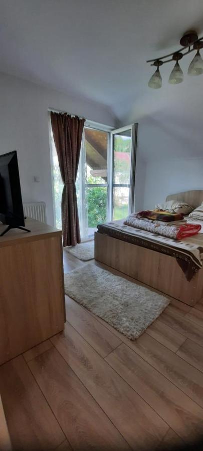 Vila Floarea De Colt Apartment Borsa  Exterior photo