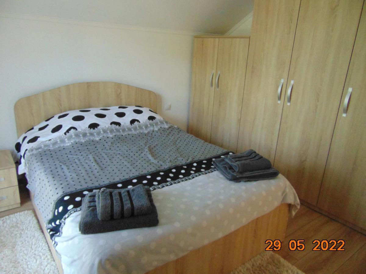 Vila Floarea De Colt Apartment Borsa  Exterior photo